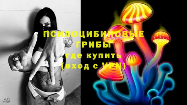 спайс Абаза
