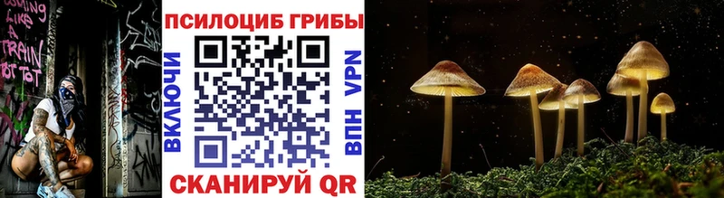 Псилоцибиновые грибы Psilocybine cubensis  Нестеровская 